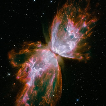 Picture of BUTTERFLY NEBULA (SQUARE)