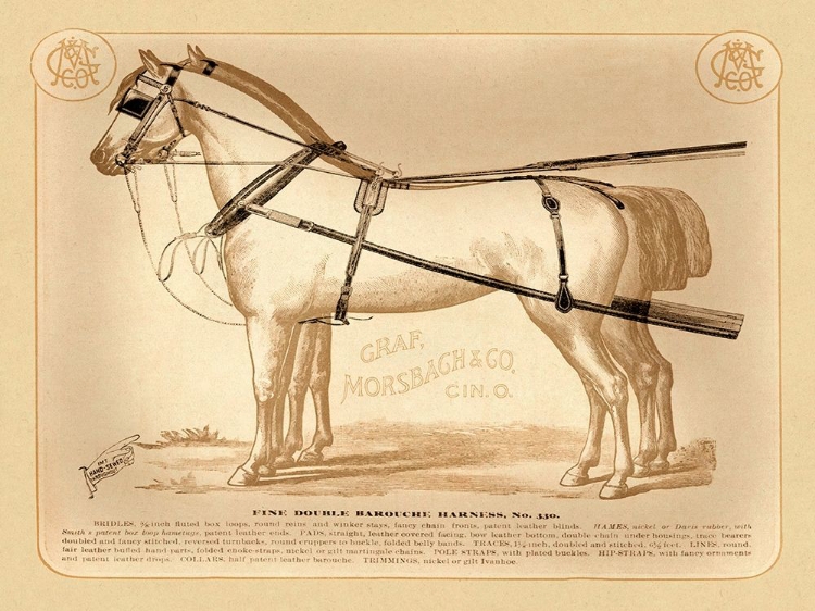 Picture of SADDLES AND TACK: FINE DOUBLE BAROUCHE HARNESS