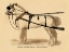Picture of SADDLES AND TACK: DOUBLE ENGLISH LONG-TUG COACH,SPORT,COMPETITION,SPORTS,PLAY,WIN,SCORE HARNESS