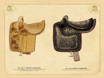 Picture of SADDLES AND TACK: LADIES SADDLES #3