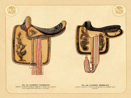 Picture of SADDLES AND TACK: LADIES SADDLES #4