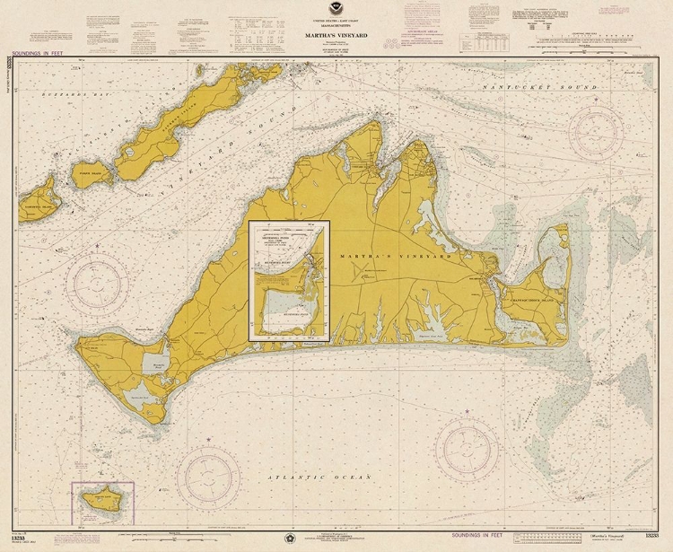 Picture of NAUTICAL CHART - MARTHAS VINEYARD CA. 1975 - SEPIA TINTED