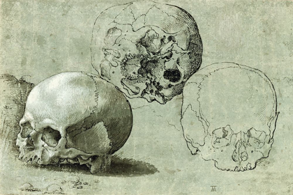 Picture of STUDY OF THREE SKULLS