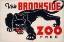 Picture of BROOKFIELD ZOO - PANTHER