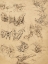 Picture of STUDIES OF CHRISTS LOINCLOTH (RECTO); STUDIES OF BOOKBINDINGS AND OF CHRISTS LOINCLOTH (VERSO)