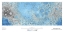 Picture of DECORATIVE TOPOGRAPHIC MAP OF THE MOON, PROJECTION
