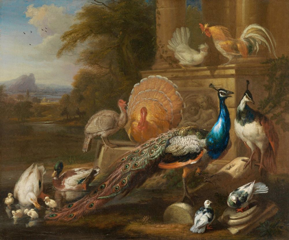 Picture of PEACOCKS, DOVES, TURKEYS, CHICKENS AND DUCKS BY A CLASSICAL RUIN