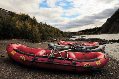 Picture of RAFTS AND THE NENANA RIVER, DENALI, ALASKA, USA