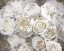 Picture of GILDED ROSES I