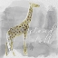 Picture of STAND TALL