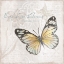 Picture of POSTCARD BUTTERFLY II