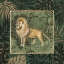 Picture of JUNGLE LION