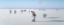 Picture of WINTERSONNTAG AM STRAND
