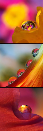 Picture of JEUX DES BOULES II