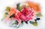 Picture of DIE ROSE