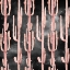 Picture of CORAL CACTUS NIGHTS PATTERN