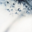 Picture of INDIGO