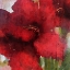 Picture of BLOOMING LOVE II