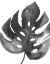 Picture of BW PALM II