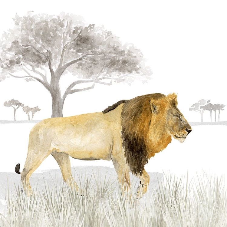 Picture of SERENGETI LION SQUARE