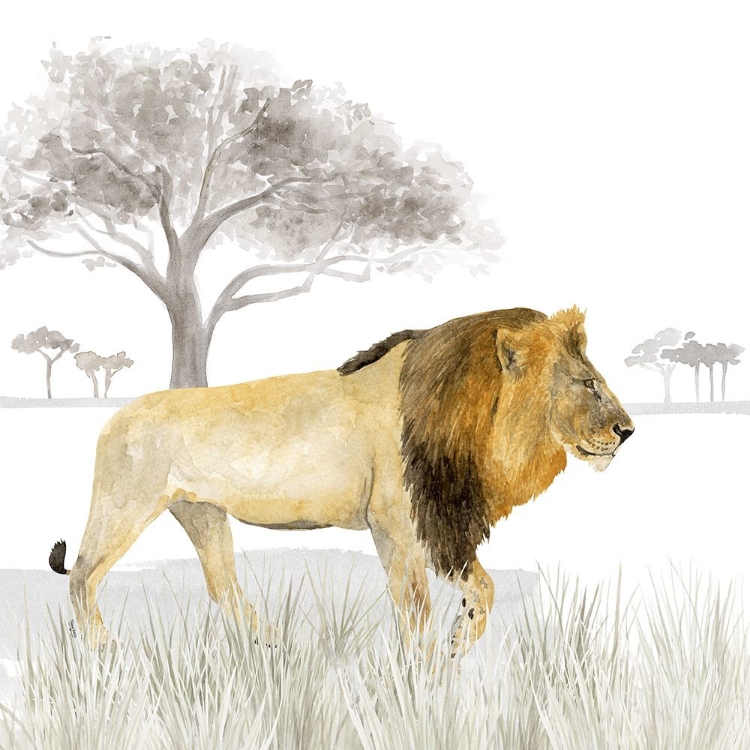 Picture of SERENGETI LION SQUARE