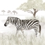 Picture of SERENGETI ZEBRA SQUARE