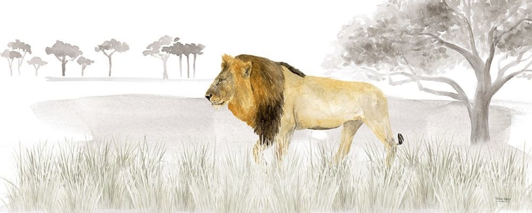 Picture of SERENGETI LION HORIZONTAL PANEL