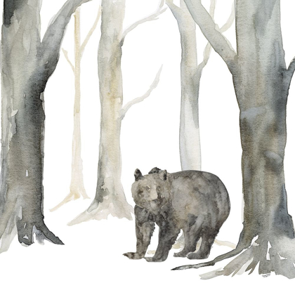 Picture of WINTER FOREST BEAR