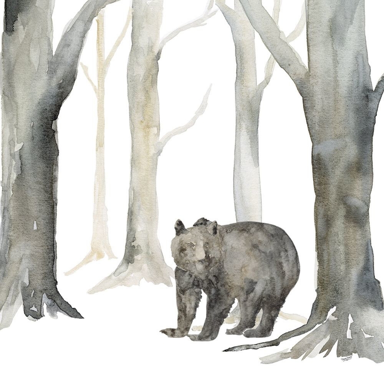 Picture of WINTER FOREST BEAR