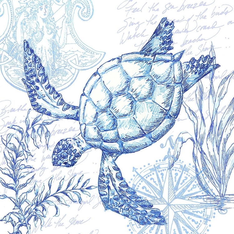 Picture of COASTAL SKETCHBOOK TURTLE