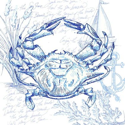 Picture of COASTAL SKETCHBOOK CRAB