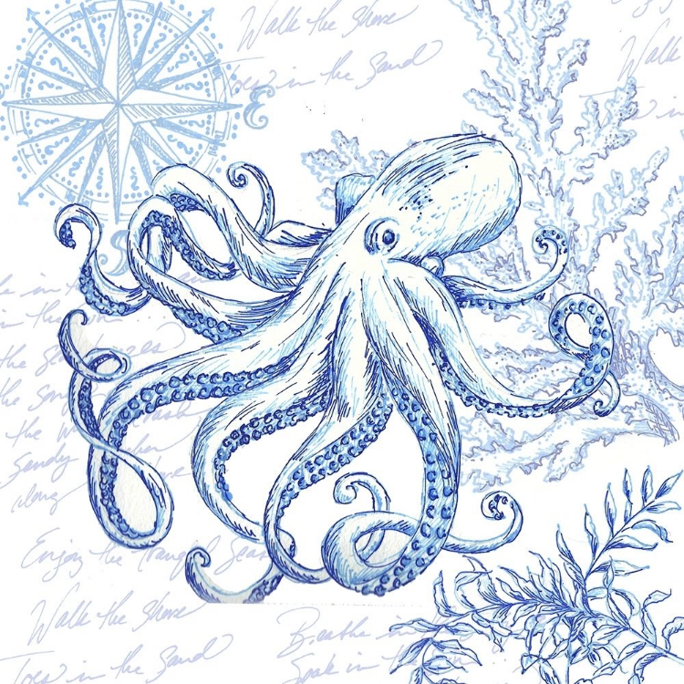 Picture of COASTAL SKETCHBOOK OCTOPUS