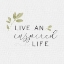 Picture of INSPIRED LIFE I