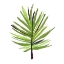 Picture of LEAVES OF THE TROPICS III
