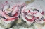 Picture of PAIR OF PINK ROSES LANDSCAPE