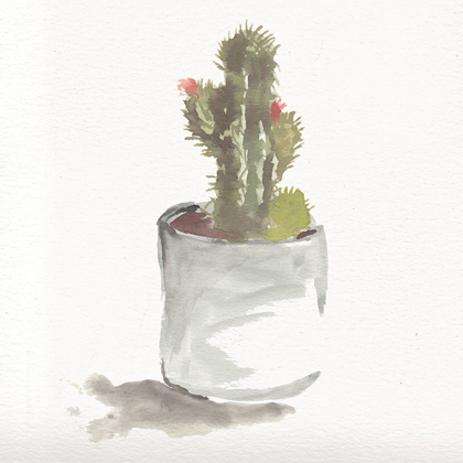 Picture of WATERCOLOR CACTUS STILL LIFE II