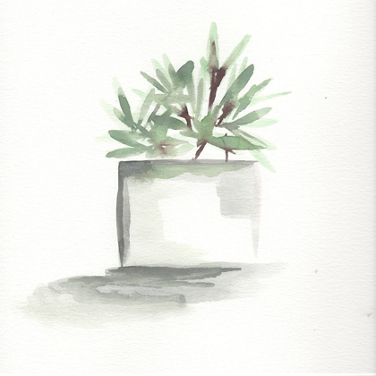 Picture of WATERCOLOR CACTUS STILL LIFE IV