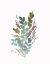 Picture of FARMHOUSE FLORALS I