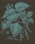 Picture of SHIMMERING LEAVES I