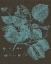 Picture of SHIMMERING LEAVES II
