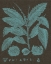 Picture of SHIMMERING LEAVES V