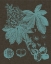 Picture of SHIMMERING LEAVES VI