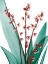 Picture of ELEGANCE BLUSH 2