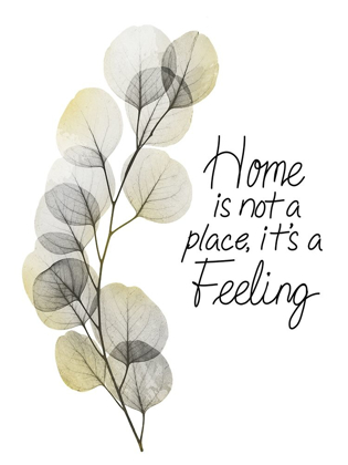 Picture of HOME FEELING