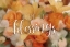 Picture of COUNT YOUR BLESSINGS