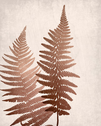 Picture of COPPER PINK FERNS 1