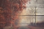 Picture of A JOURNEY