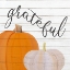 Picture of GRATEFUL PUMPKINS