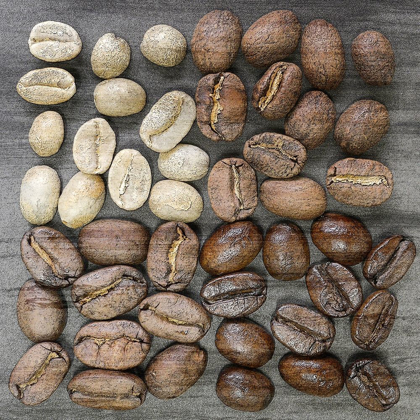 Picture of COFFEE BEANS 1