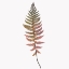 Picture of CORAL FERN GOLD 2